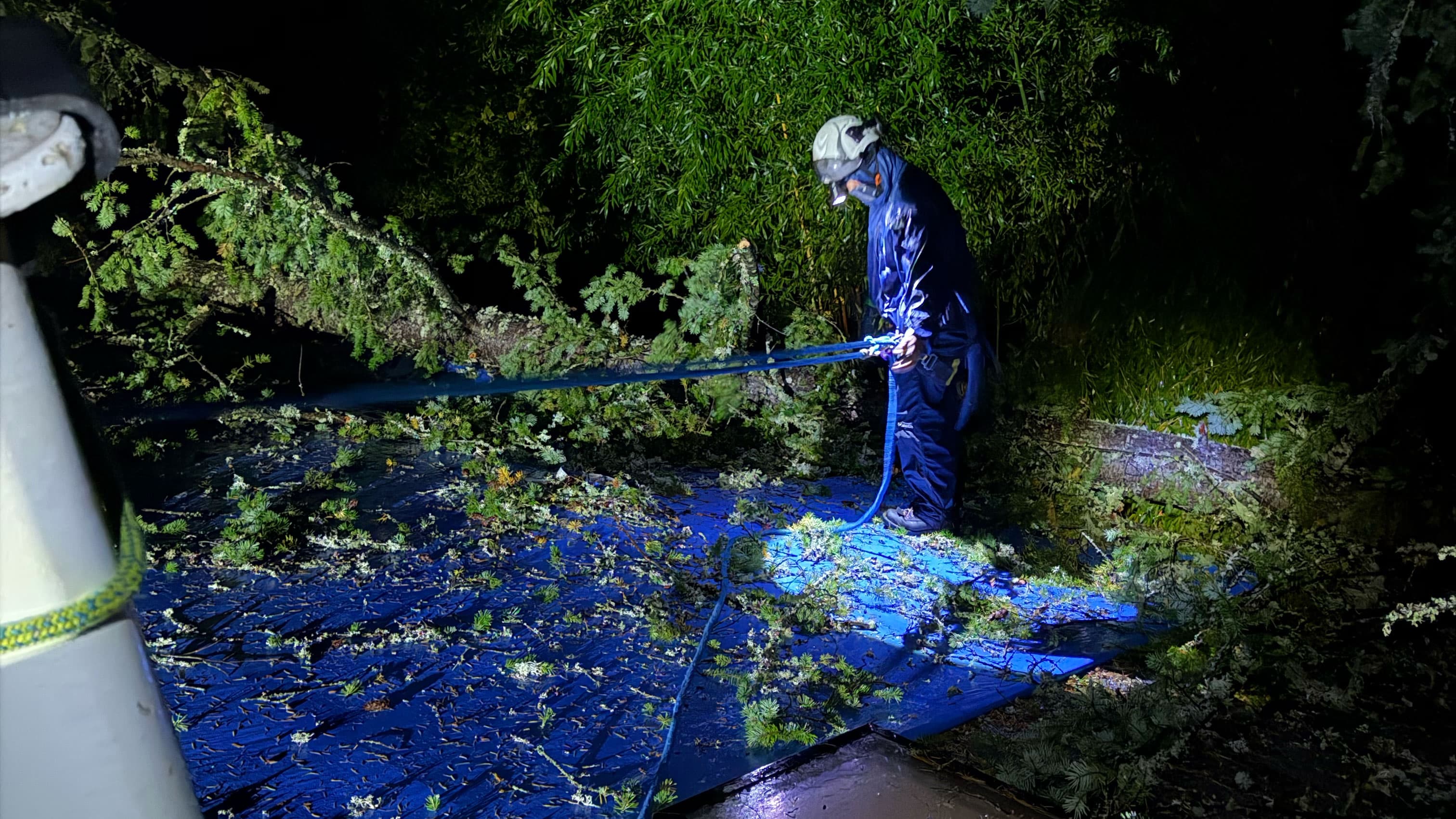 Large fallen tree resting in lake beside residential dock at sunset