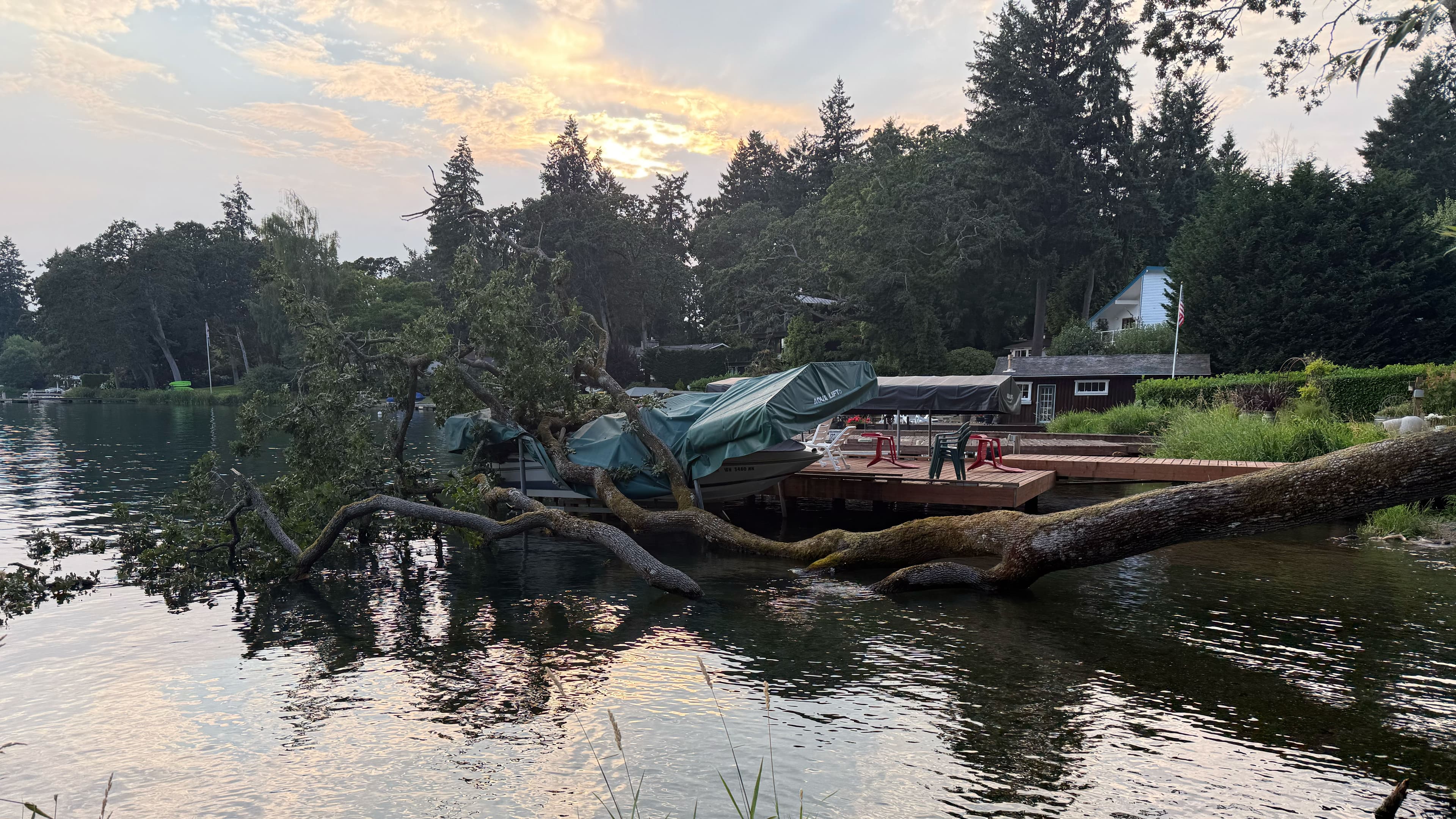 Storm-damaged tree fallen onto house roof in wooded yard