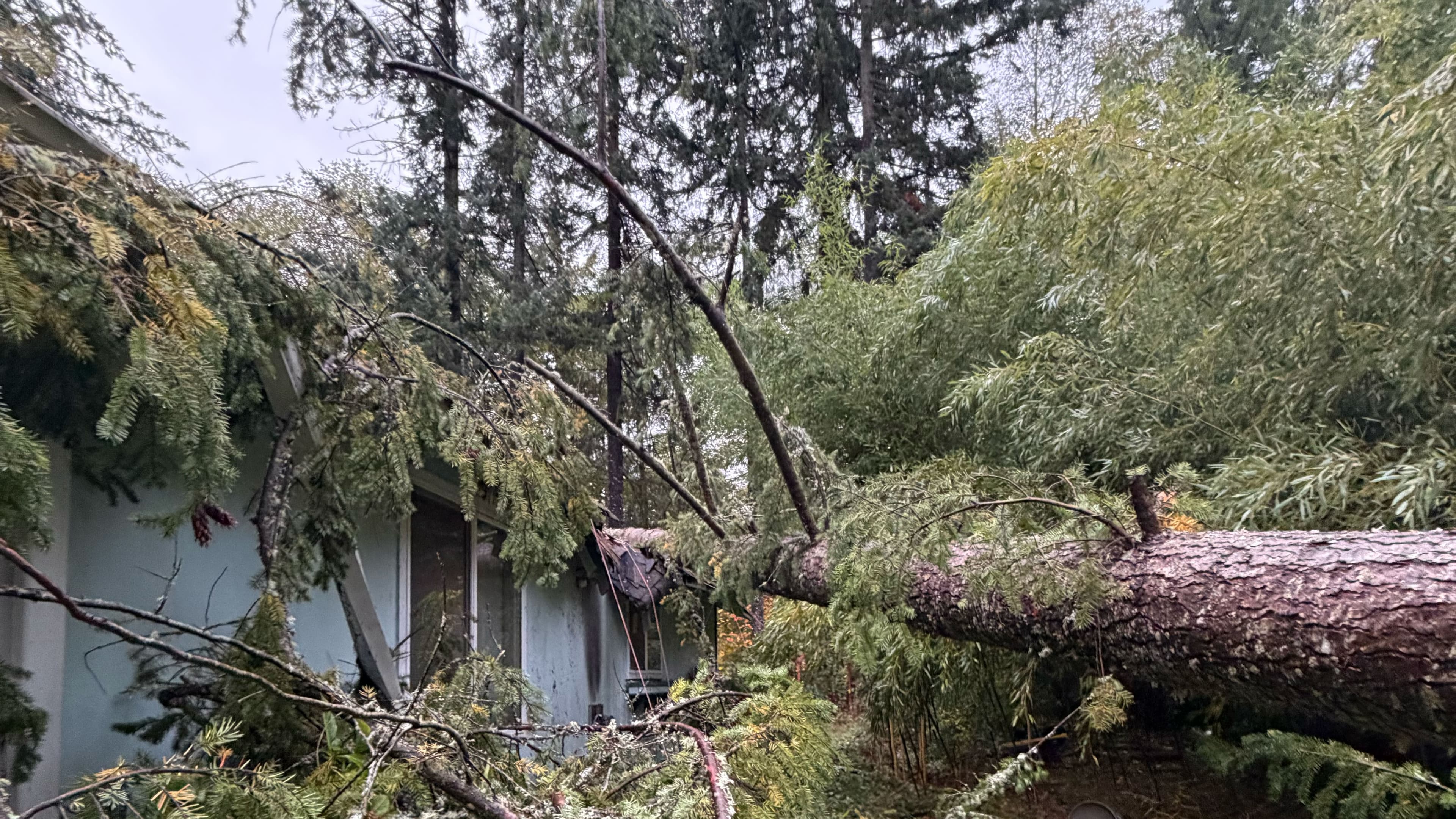 Crew performing nighttime emergency tree removal after storm damage