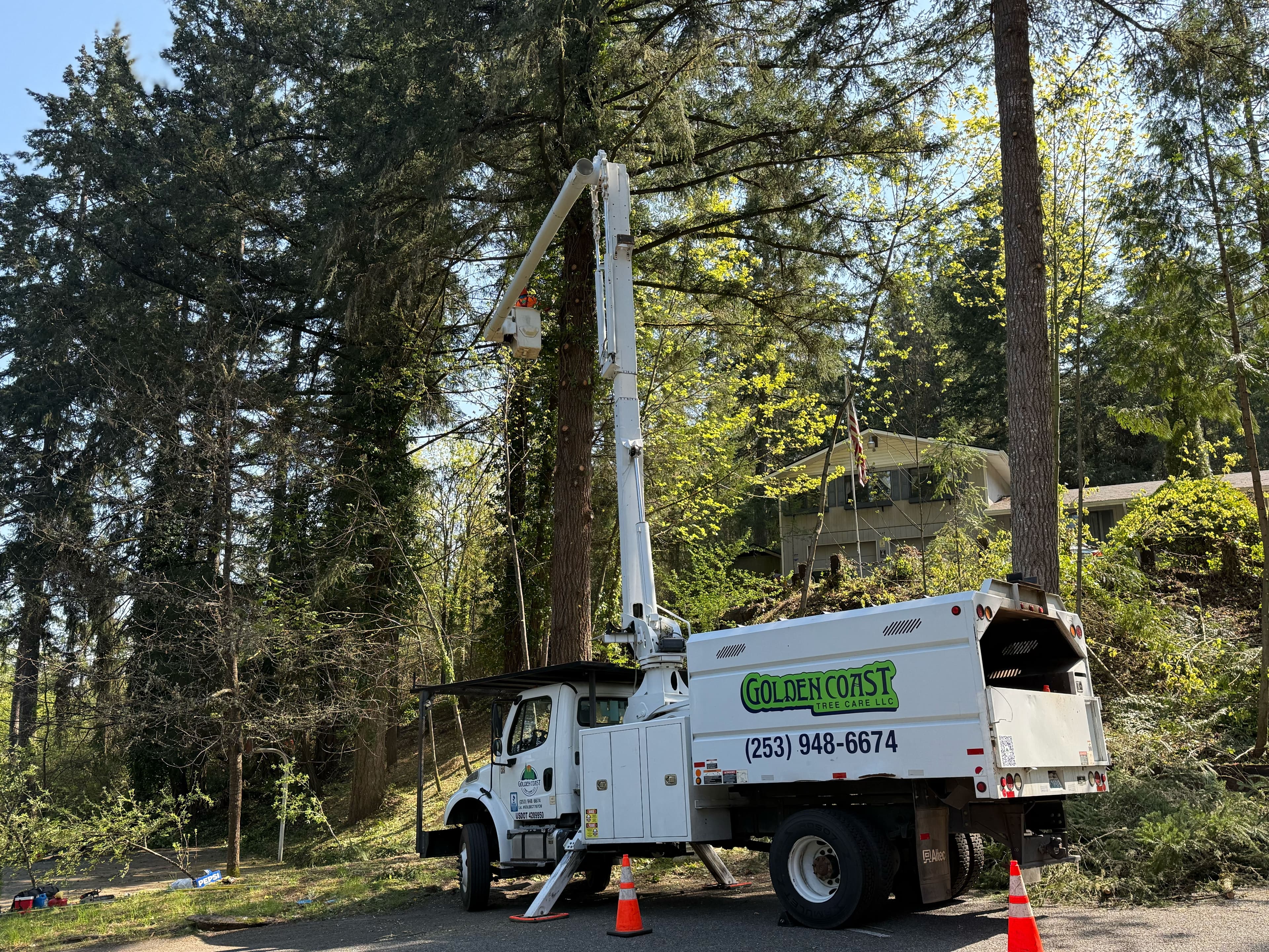 Golden Coast Tree Care bucket truck performing tall tree pruning in residential yard