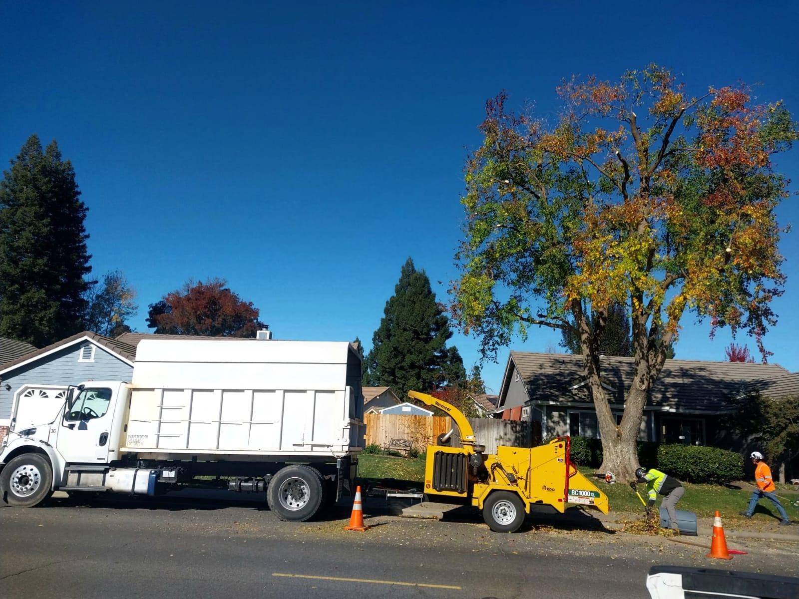 Wood chipper cleaning up tree branches