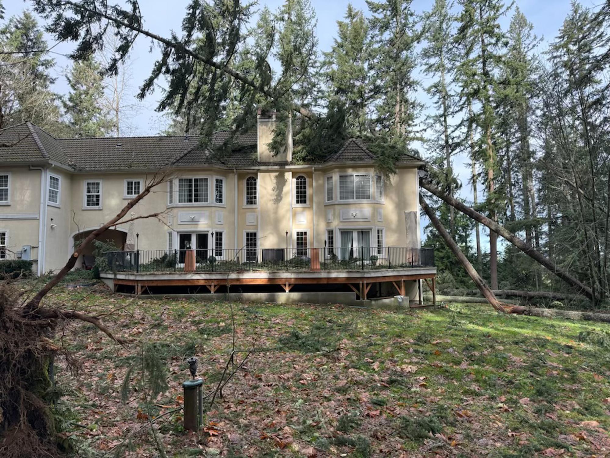 Large tree fallen on two-story house from wind