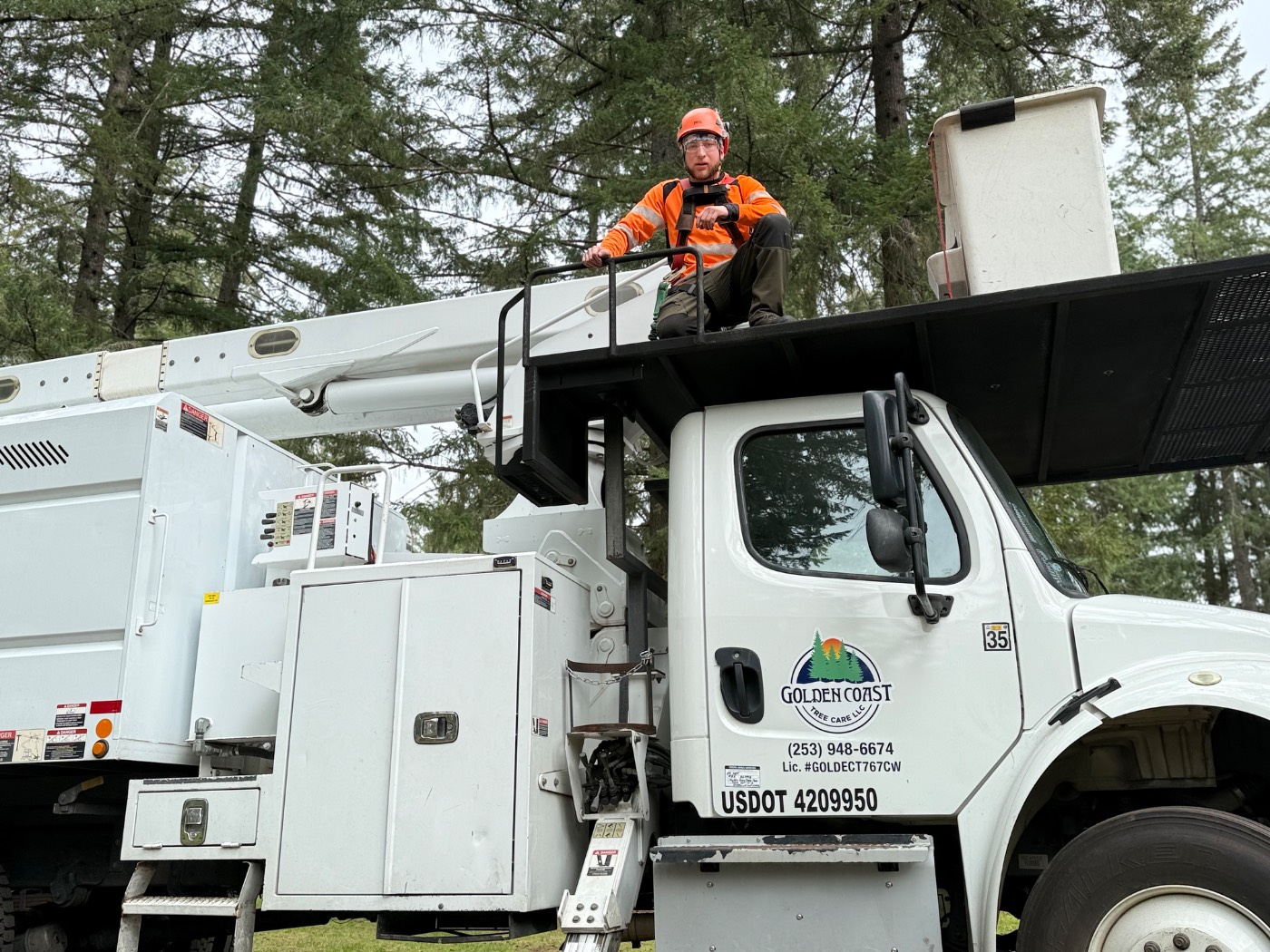 Golden Coast Tree Care climber in full safety gear on the bucket truck platform