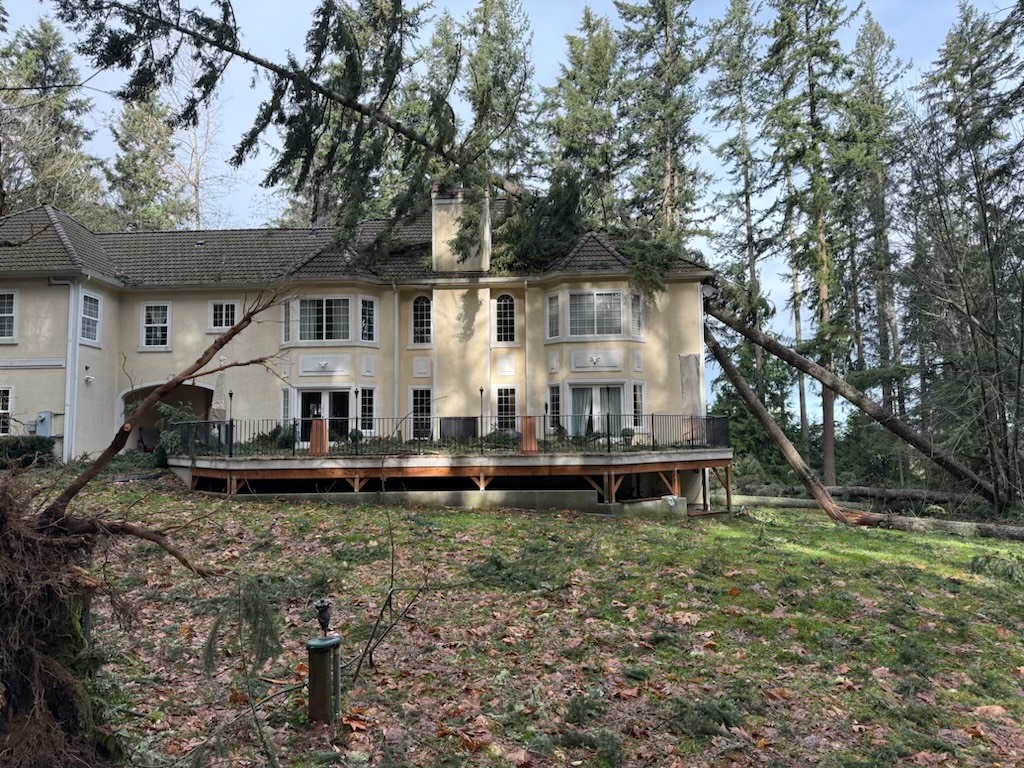 Storm-felled trees leaning across a home after a Puget Sound windstorm